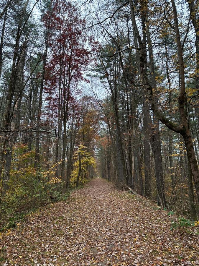 Escape To A Streamside Cabin In The Lower Catskills Wurtsboro Exterior foto