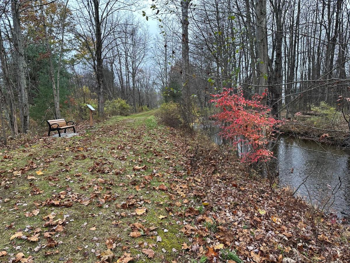 Escape To A Streamside Cabin In The Lower Catskills Wurtsboro Exterior foto